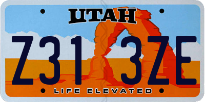 UT license plate Z313ZE