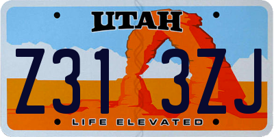 UT license plate Z313ZJ