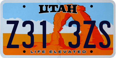UT license plate Z313ZS