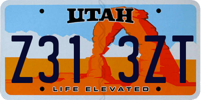 UT license plate Z313ZT