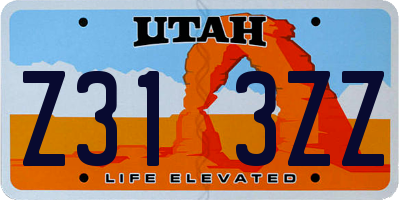 UT license plate Z313ZZ