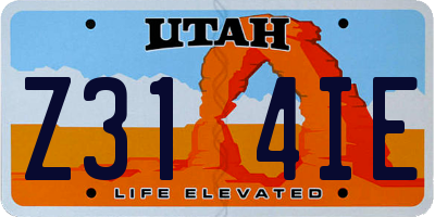 UT license plate Z314IE