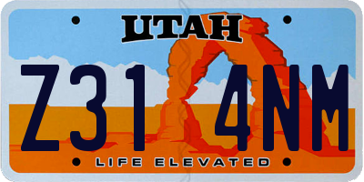 UT license plate Z314NM