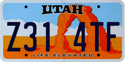 UT license plate Z314TF
