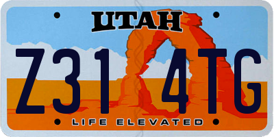 UT license plate Z314TG