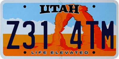 UT license plate Z314TM