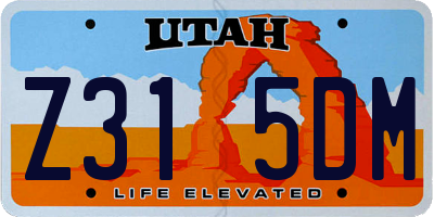 UT license plate Z315DM