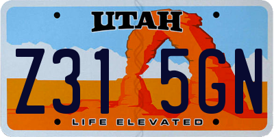 UT license plate Z315GN