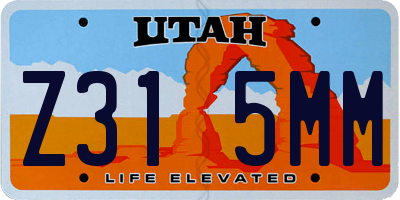 UT license plate Z315MM