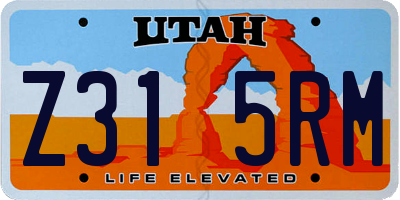 UT license plate Z315RM