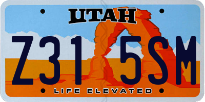 UT license plate Z315SM