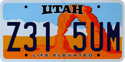 UT license plate Z315UM