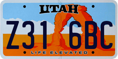UT license plate Z316BC