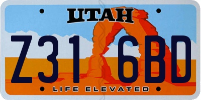 UT license plate Z316BD