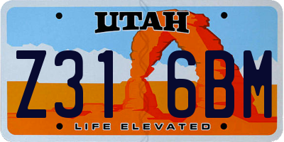 UT license plate Z316BM