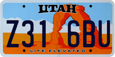 UT license plate Z316BU