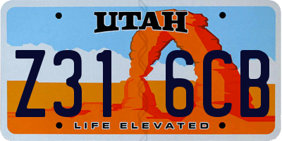 UT license plate Z316CB