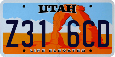 UT license plate Z316CD