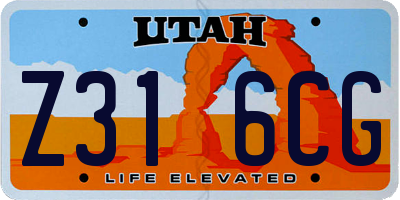 UT license plate Z316CG