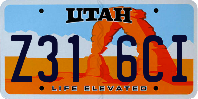 UT license plate Z316CI