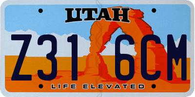 UT license plate Z316CM