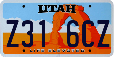 UT license plate Z316CZ