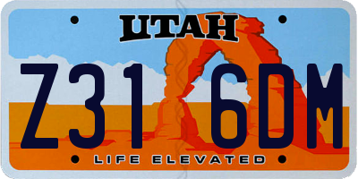 UT license plate Z316DM