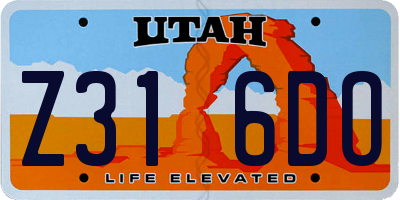 UT license plate Z316DO