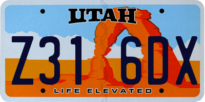 UT license plate Z316DX