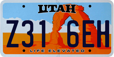 UT license plate Z316EH
