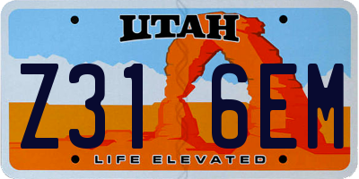 UT license plate Z316EM