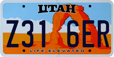 UT license plate Z316ER