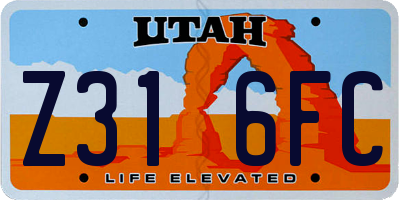 UT license plate Z316FC