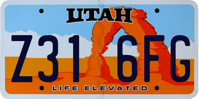 UT license plate Z316FG