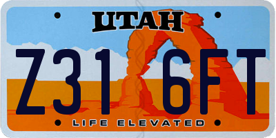 UT license plate Z316FT
