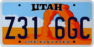 UT license plate Z316GC