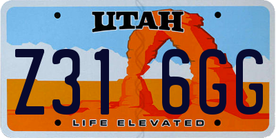 UT license plate Z316GG
