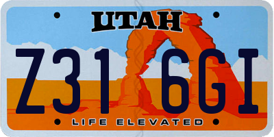 UT license plate Z316GI