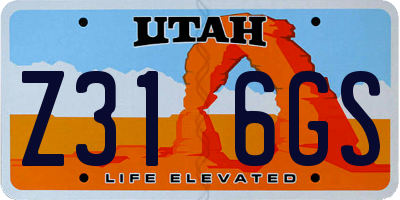 UT license plate Z316GS