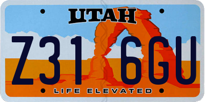 UT license plate Z316GU
