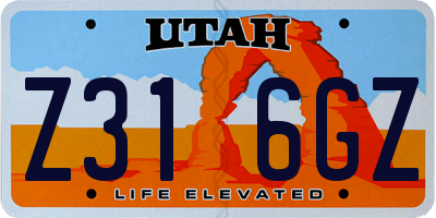 UT license plate Z316GZ
