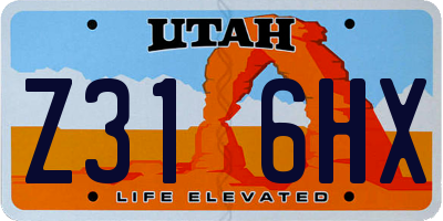 UT license plate Z316HX