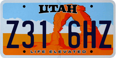 UT license plate Z316HZ