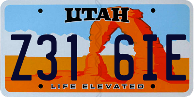 UT license plate Z316IE
