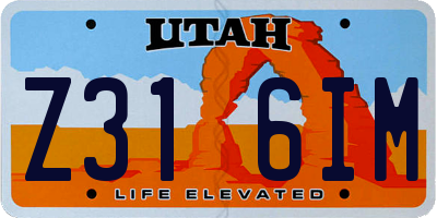 UT license plate Z316IM