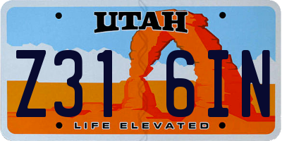 UT license plate Z316IN