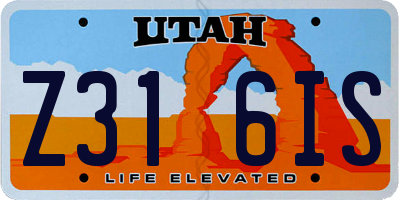UT license plate Z316IS