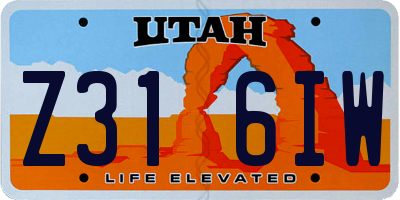 UT license plate Z316IW