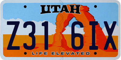 UT license plate Z316IX