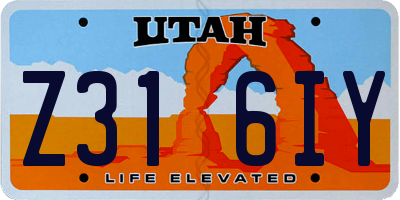 UT license plate Z316IY
